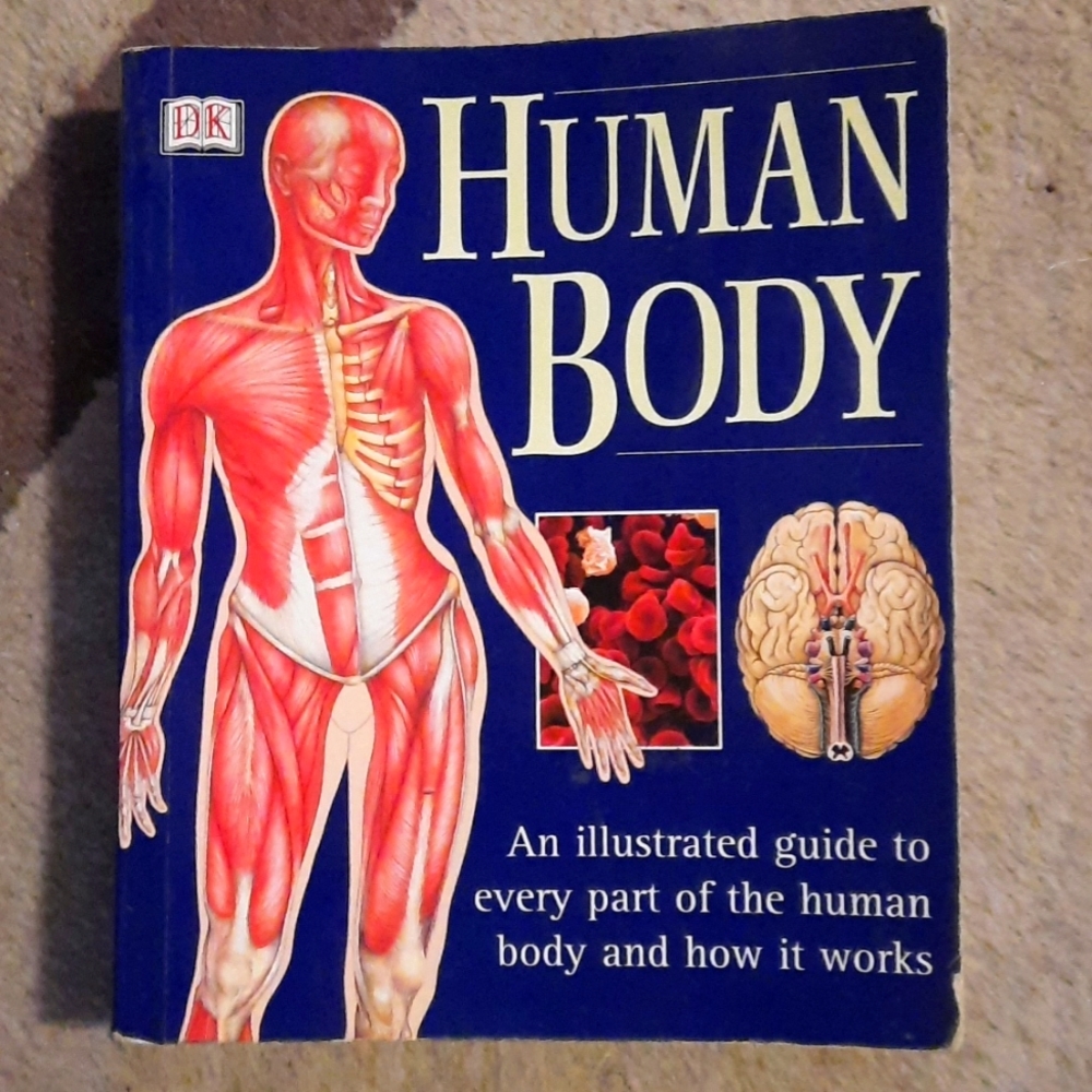 Human Body Book